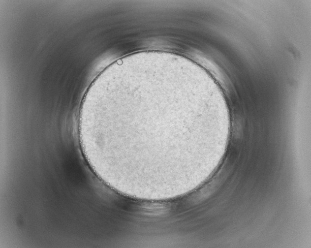 X0000116661338201001041102