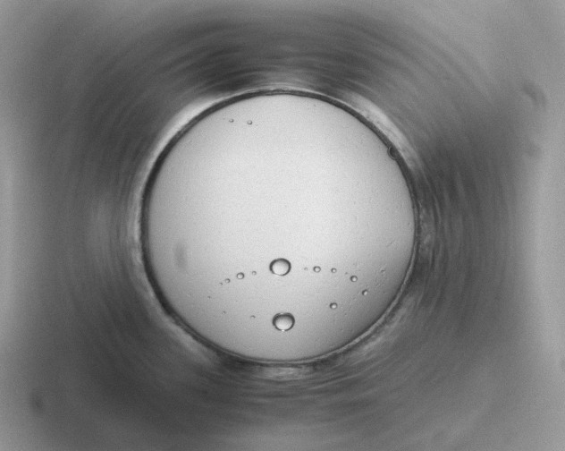 X0000116661339201001041102