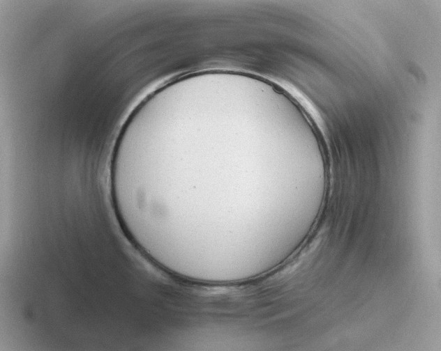 X0000116661341201001041102