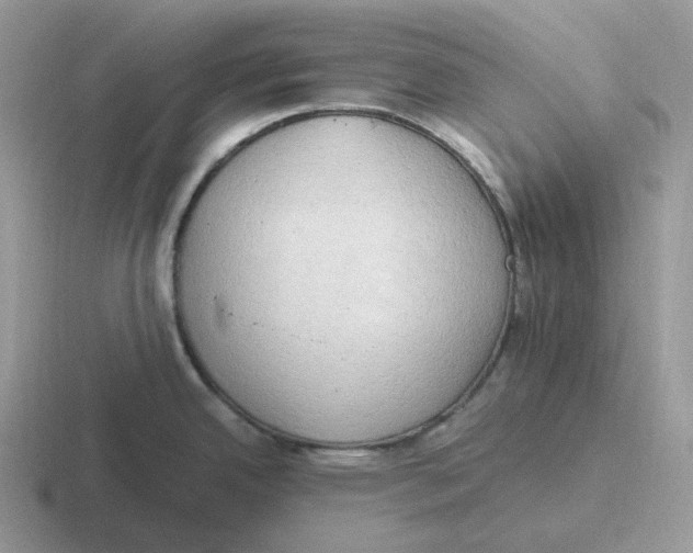 X0000116661342201001041102