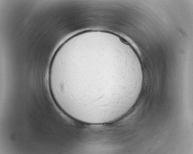 X0000116661343201001041102