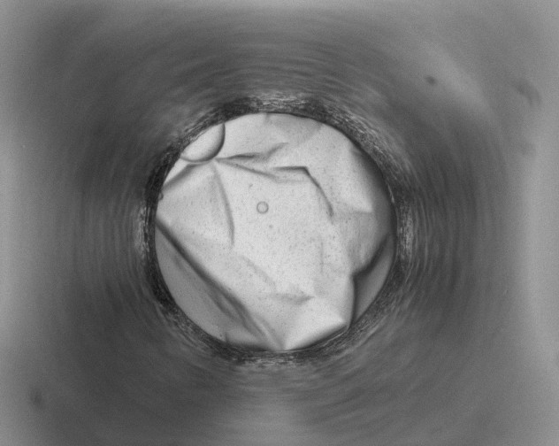 X0000116661346201001041102