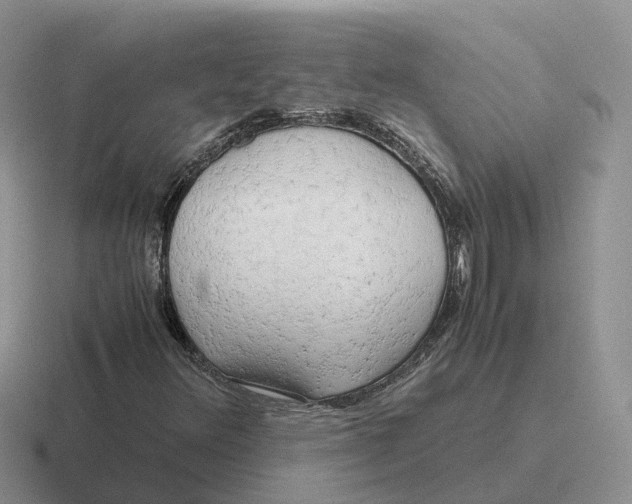 X0000116661348201001041102