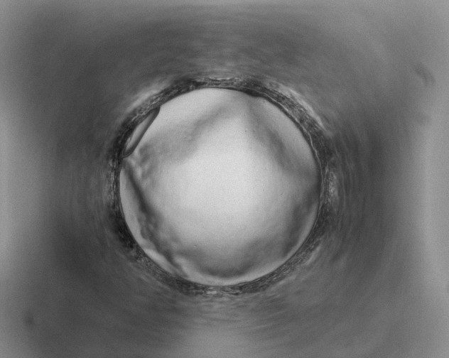 X0000116661350201001041102