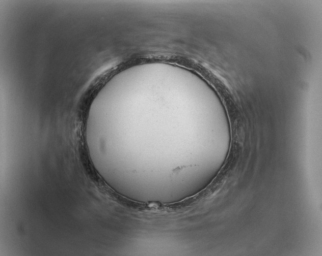 X0000116661351201001041102