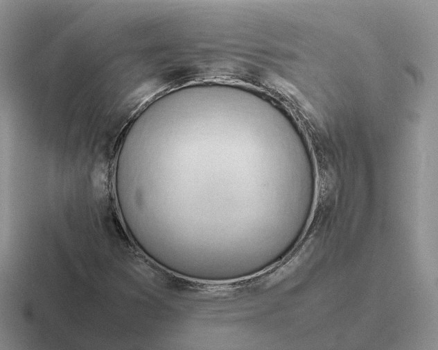 X0000116661353201001041102