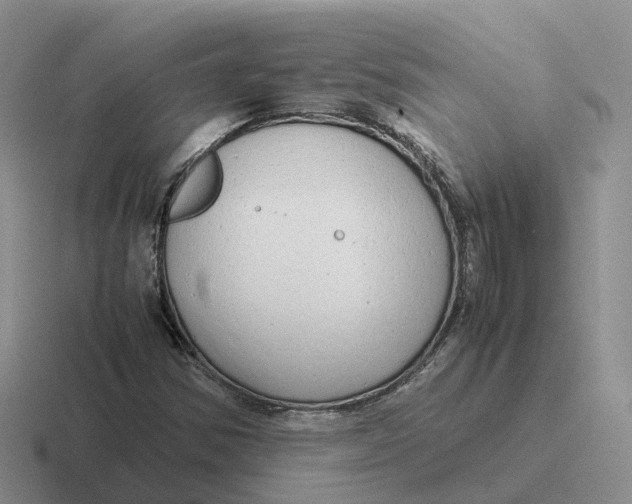 X0000116661354201001041102