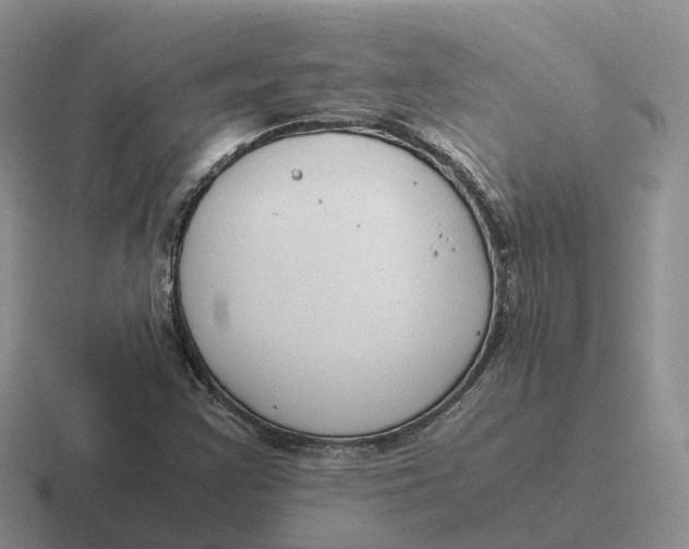 X0000116661355201001041102