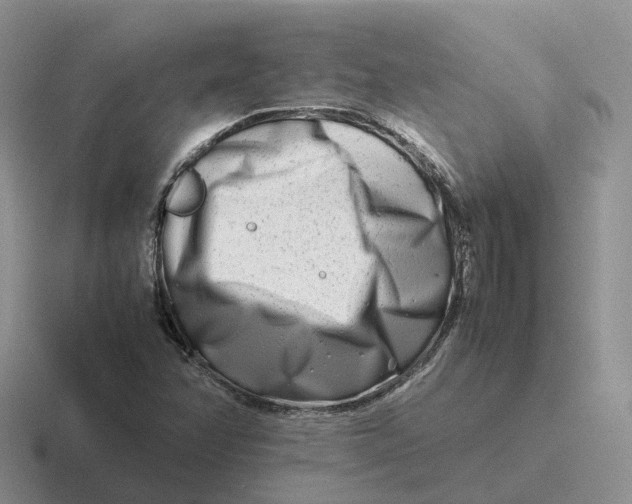 X0000116661358201001041102