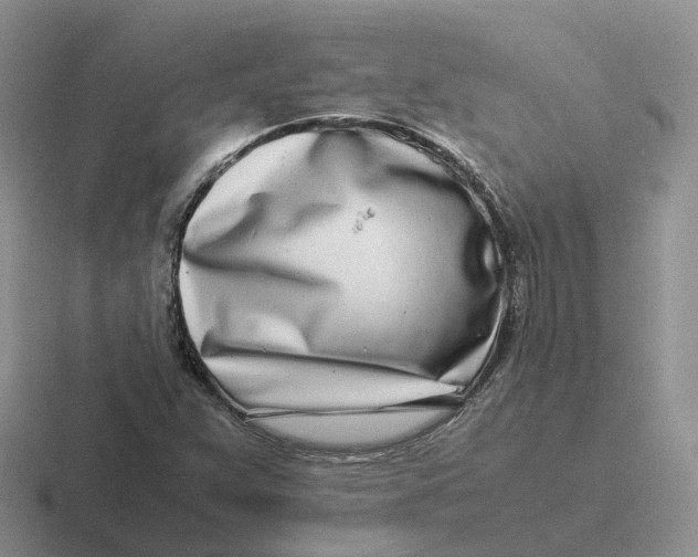 X0000116661359201001041102