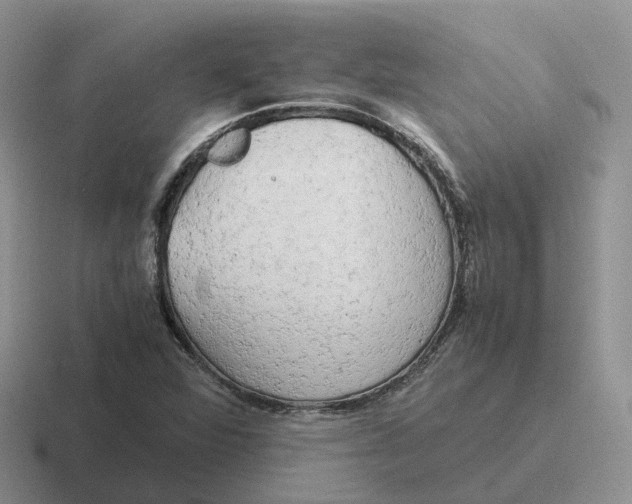 X0000116661360201001041102