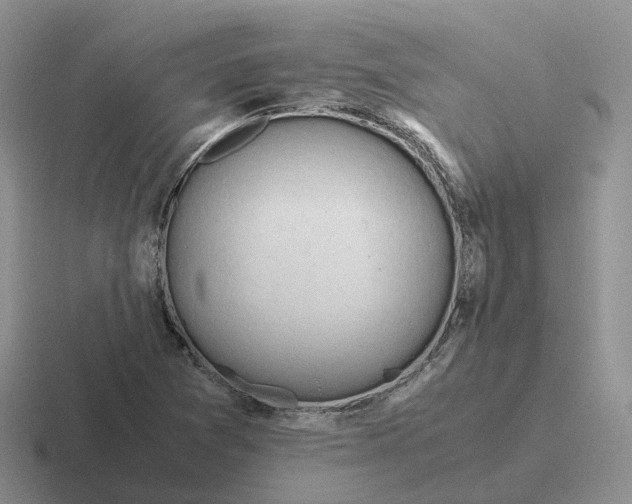 X0000116661361201001041102