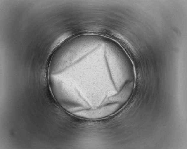 X0000116661362201001041102