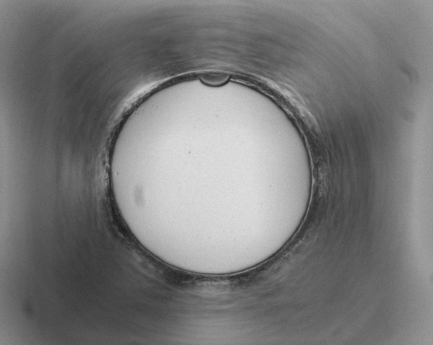 X0000116661363201001041102