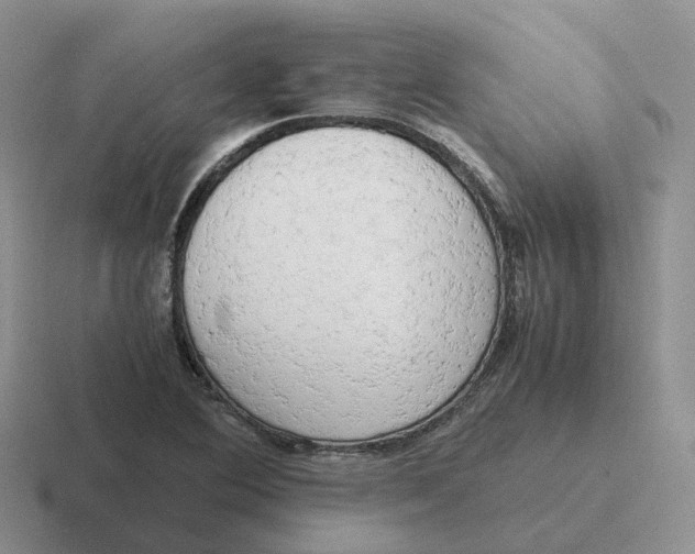 X0000116661364201001041102