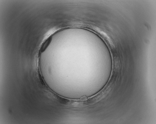 X0000116661365201001041102