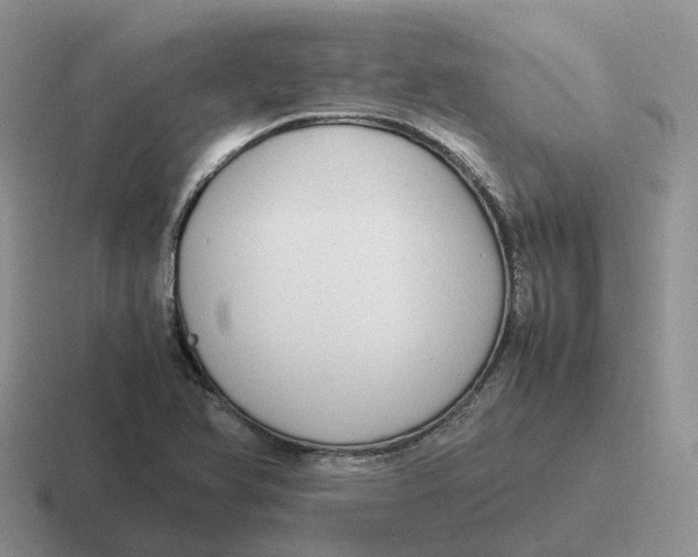 X0000116661366201001041102