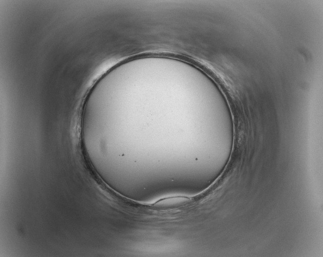 X0000116661367201001041102