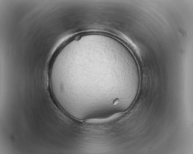 X0000116661368201001041102