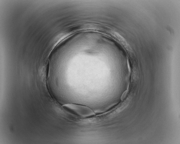 X0000116661369201001041102