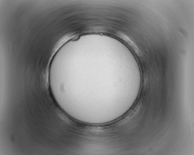 X0000116661370201001041102