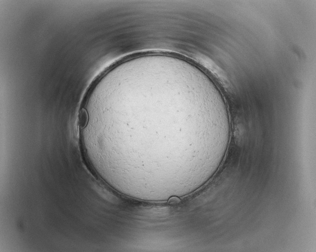 X0000116661372201001041102