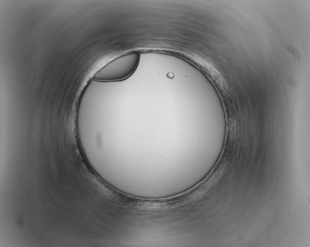 X0000116661374201001041101