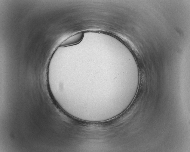 X0000116661375201001041101