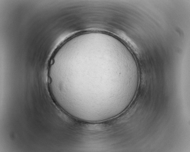 X0000116661376201001041101