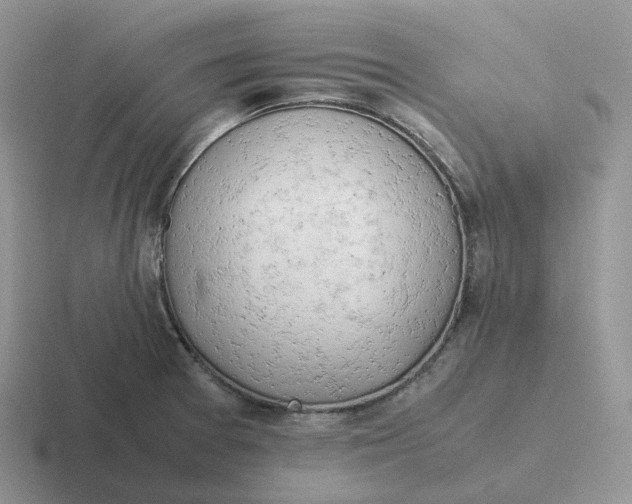 X0000116661377201001041101