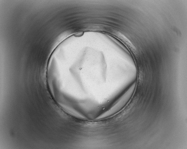 X0000116661378201001041101