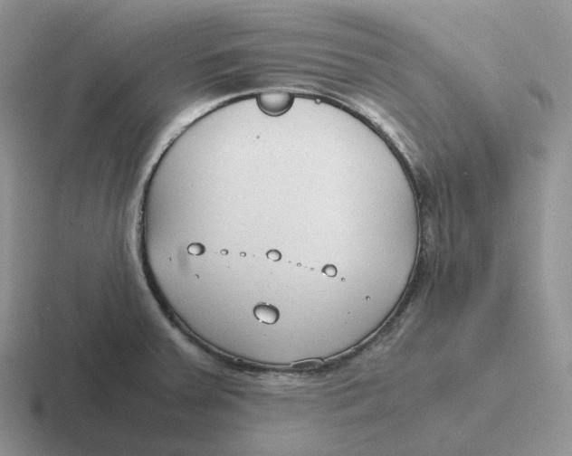 X0000116661379201001041101