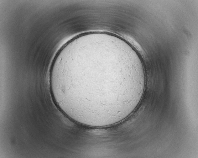 X0000116661380201001041101