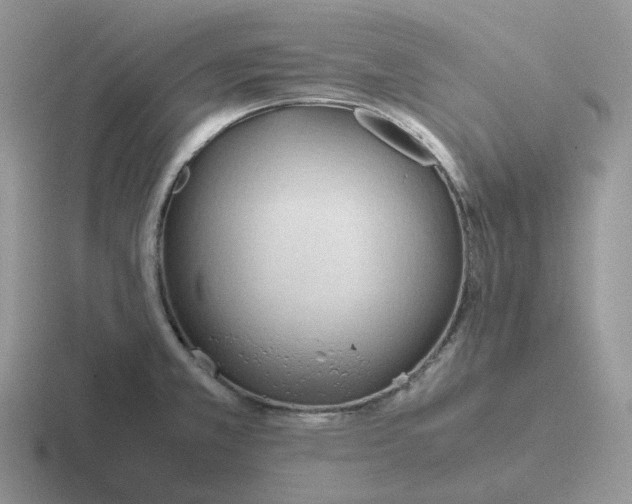 X0000116661381201001041101