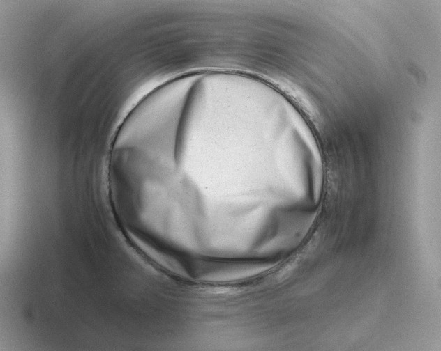 X0000116661382201001041101