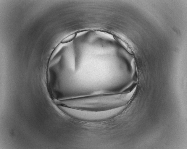 X0000116661383201001041101