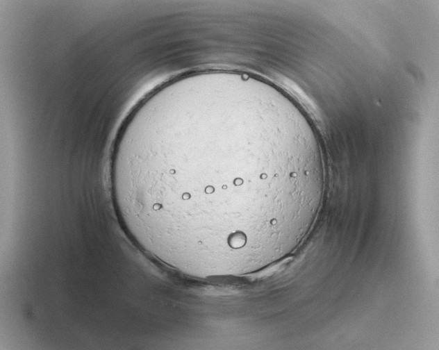 X0000116661384201001041101