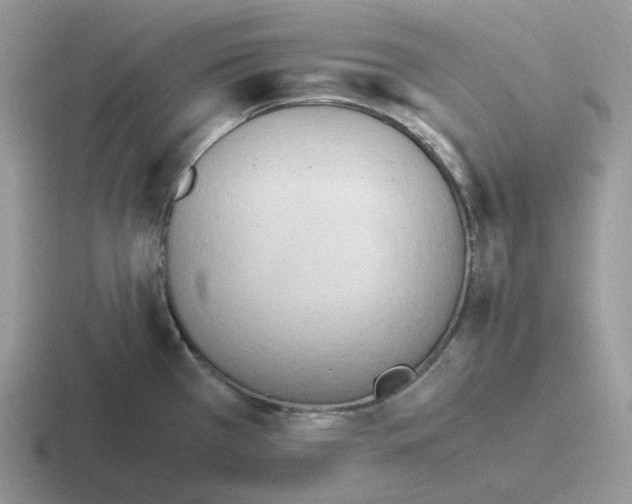 X0000116661385201001041101