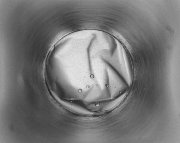 X0000116661386201001041101