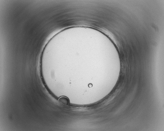 X0000116661387201001041101