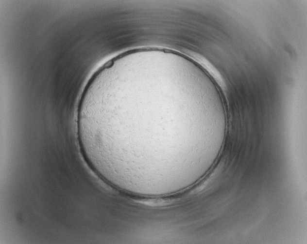 X0000116661388201001041101