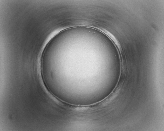 X0000116661389201001041101