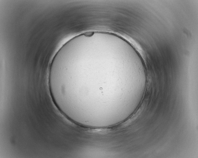 X0000116661390201001041101