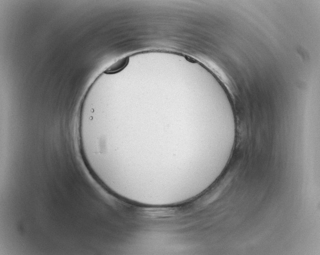 X0000116661391201001041101