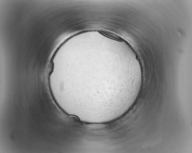 X0000116661392201001041101