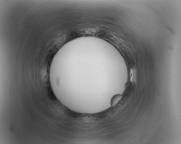 X0000116661395201001041100