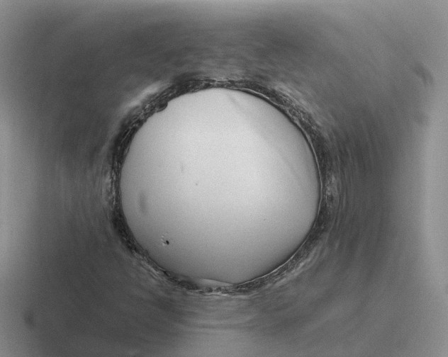 X0000116661398201001041100