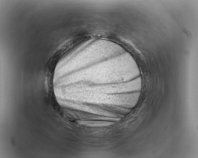 X0000116661399201001041100