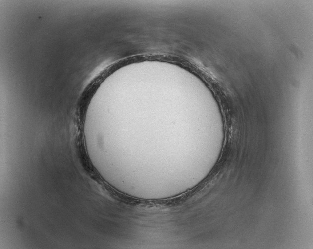 X0000116661400201001041101