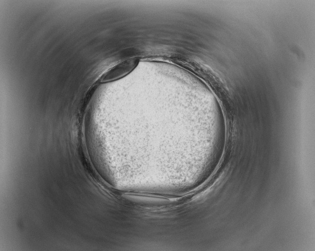 X0000116661401201001041101